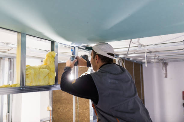 Best Garage Insulation Installation  in Lewisville, TX