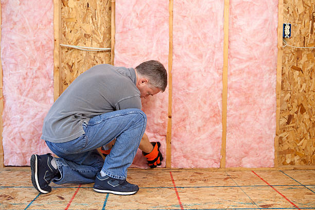 Best Insulation Removal  in Lewisville, TX