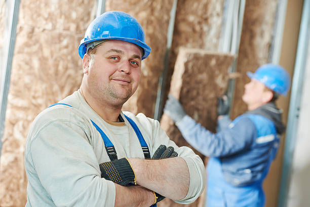 Best Home Insulation Services  in Lewisville, TX