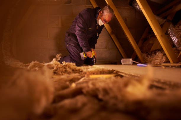 Best Insulation Repair Services  in Lewisville, TX