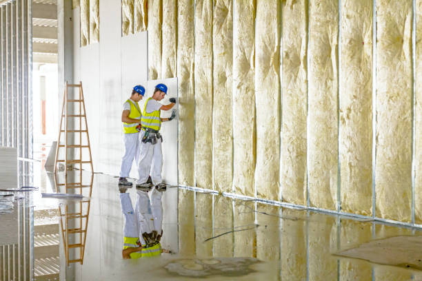 Best Best Insulation Companies  in Lewisville, TX